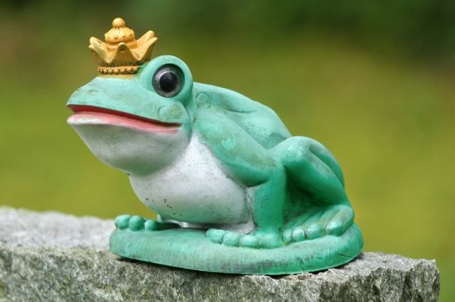 frog-jokes