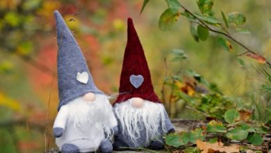 gnome-puns