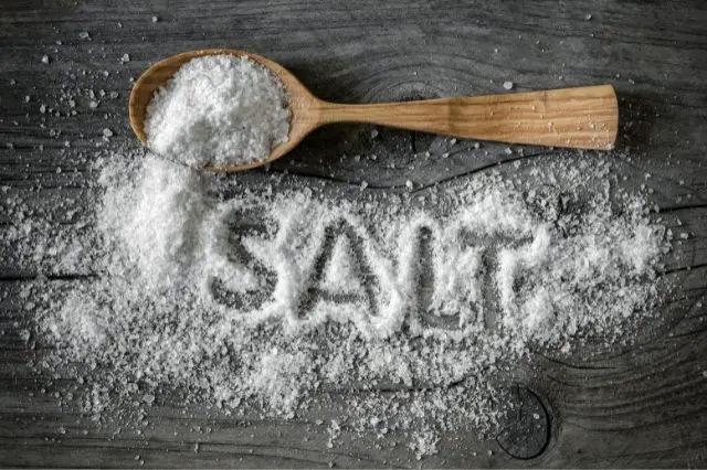 salt-puns