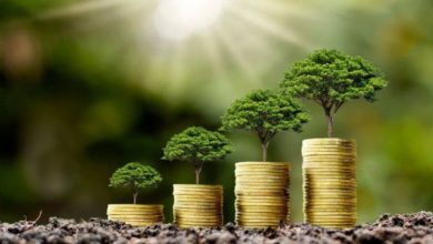 sustainable-investing-profits-with-purpose