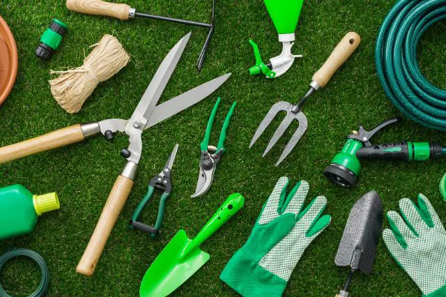 how-quality-tools-elevate-garden-experiences