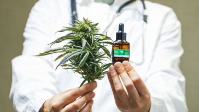 how-to-choose-the-right-medical-cannabis-doctor-for-you