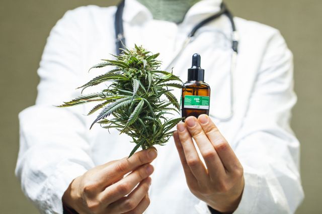 how-to-choose-the-right-medical-cannabis-doctor-for-you