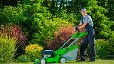 keep-your-lawn-pristine-with-professional-pet-waste-removal
