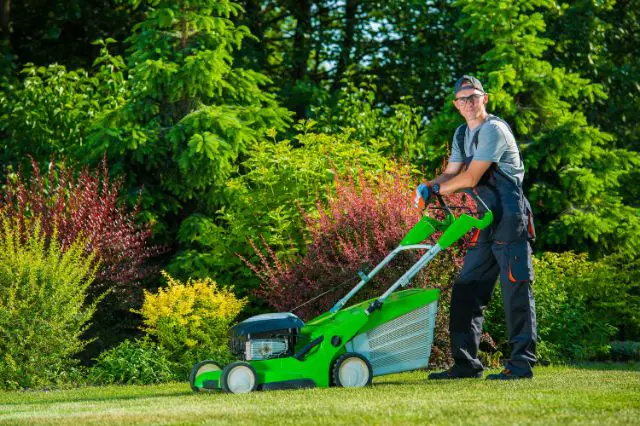 keep-your-lawn-pristine-with-professional-pet-waste-removal