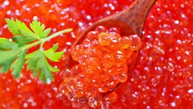 nutritional-bounty-of-red-caviar-health-benefits-of-salmon-roe