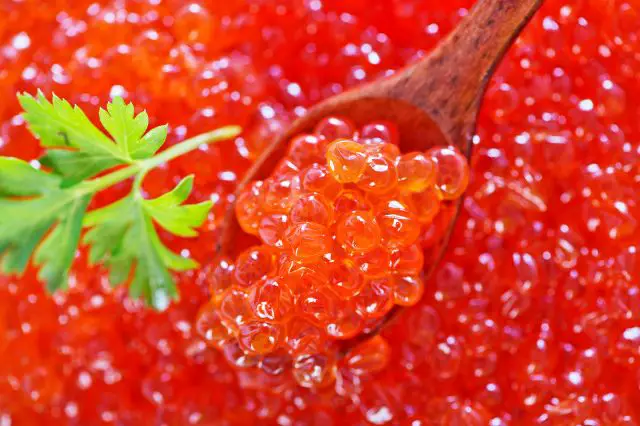 nutritional-bounty-of-red-caviar-health-benefits-of-salmon-roe
