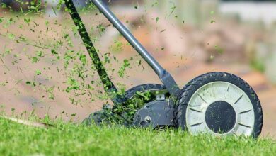 Edge Trimmers 101 How to Perfect Your Lawn’s Borders