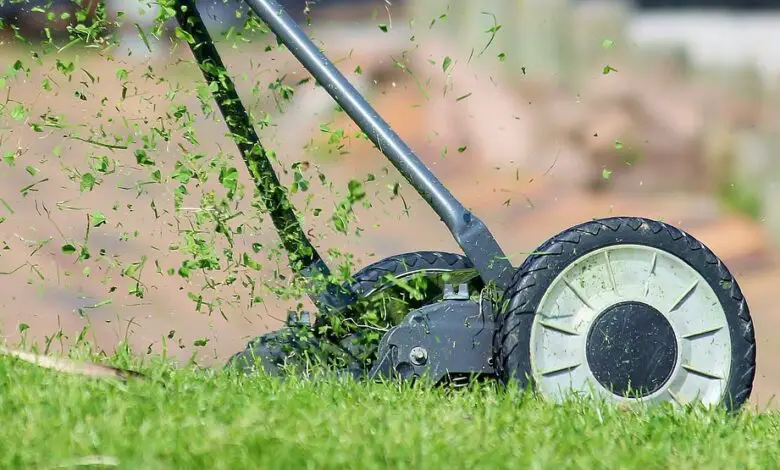 Edge Trimmers 101 How to Perfect Your Lawn’s Borders