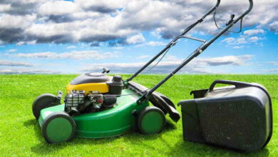 Do’s and Don’ts of Home Lawn Maintenance