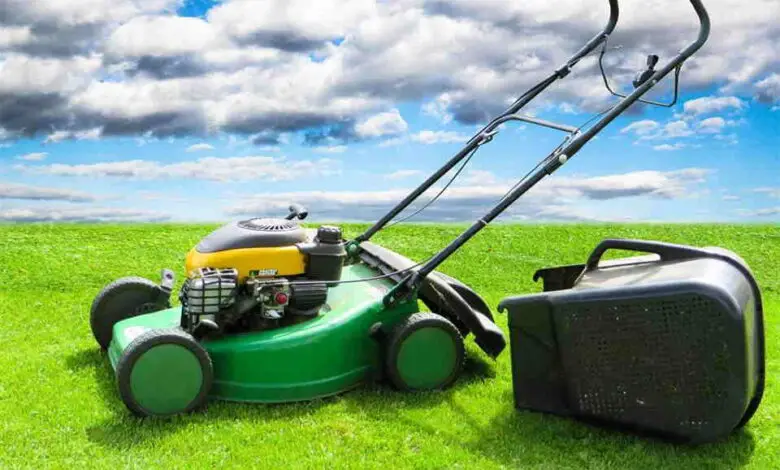 Do’s and Don’ts of Home Lawn Maintenance